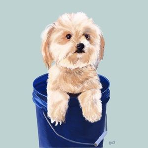 Meet your Posher, Ariana